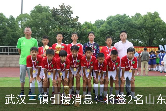 武汉三镇引援消息：将签2名山东泰山国脚内援
